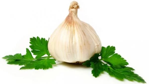 Земеделци: Производството на чесън замира