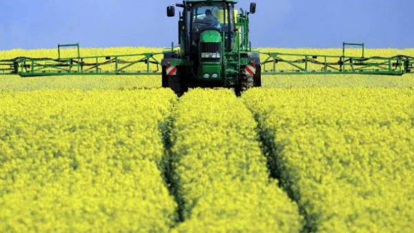 Скок на земеделските цени отчете НСИ