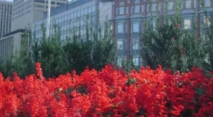 2012/05/21/0858786001380580253