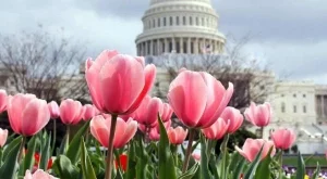 2012/05/23/0885445001380580069