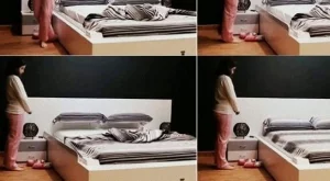 Легло-мечта – оправя се само (видео)