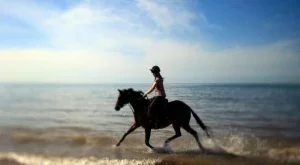 Италия ще ни помага да развиваме коннен туризъм