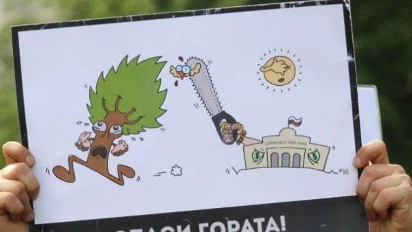 Връщат Закона за горите за ново обсъждане