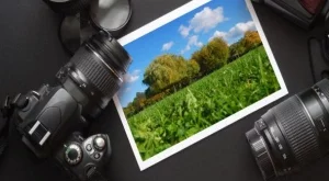 Фото-индустрията не е това, което беше

 