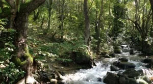 2012/06/29/0693515001380578158