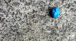 Сензационен борсов дебют на Острова: незалепваща дъвка