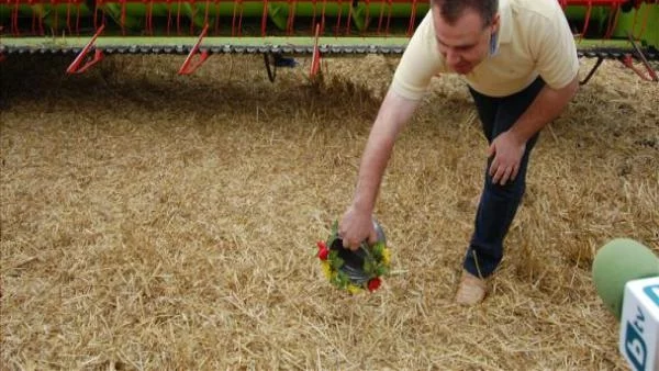 Реколтата от пшеница е най-добра от 20 години насам