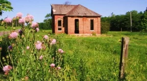 2012/07/06/0975829001380577857