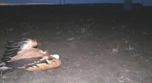 2012/07/11/0107707001380577606