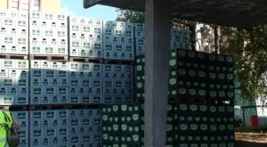 2012/07/19/0392906001380577205