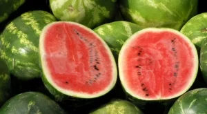 Пъпешите и дините поевтиняват значително 