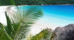 2012/07/23/0066780001380577107