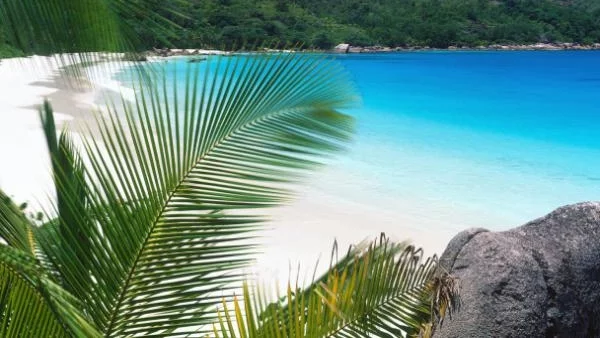 Супербогаташи масово купуват частни острови