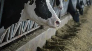 2012/07/29/0100855001380576767