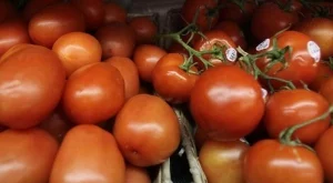 2012/08/04/0916846001380576419