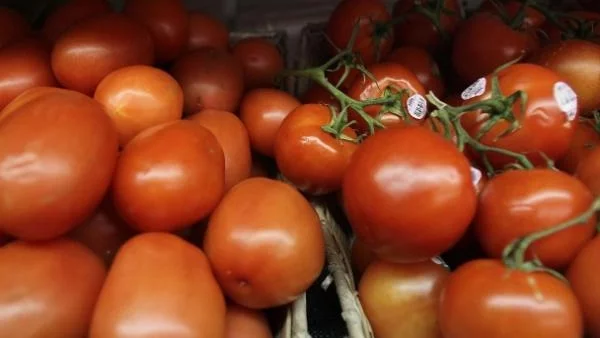 Българските домати са на изчезване?