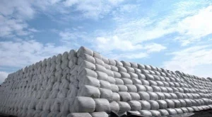 2012/08/07/0855070001380576264