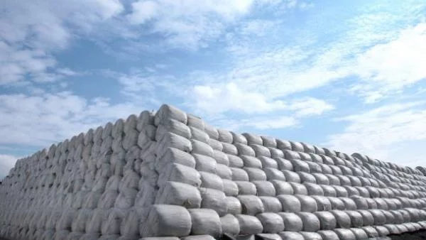 Ние и гърците най-зле третираме боклука си в ЕС