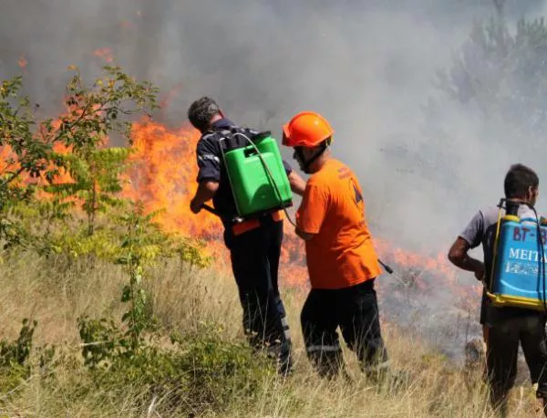 310 пожара са погасени през последното денонощие в страната