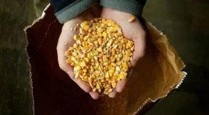 Храните поскъпнаха с 6% през юли