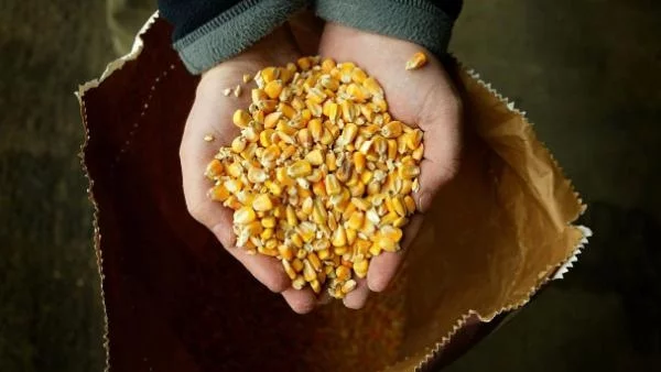 Храните поскъпнаха с 6% през юли