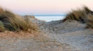 2012/08/10/0160419001380576071