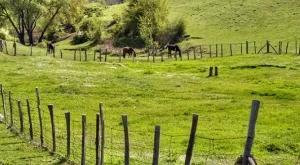 2012/08/10/0525743001380576076