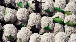 Отпускат помощи за производителите на памук