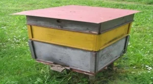 2012/08/17/0807996001380575779