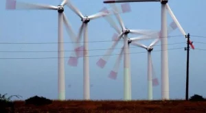 2012/08/22/0502266001380575594