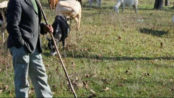 Българското село - застрашен вид