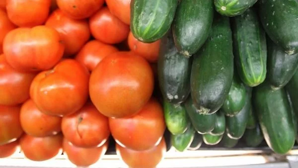 Германия отчете рекорден агроизнос 