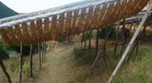 С близо 30% поскъпва тютюнът