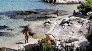 2012/08/26/0676995001380575447