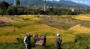 ФАО: Цените на храните остават високи в идните 10 г.