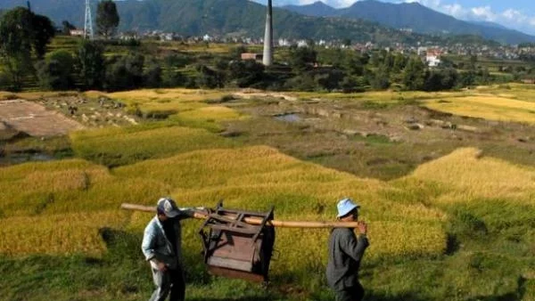 ФАО: Цените на храните остават високи в идните 10 г.
