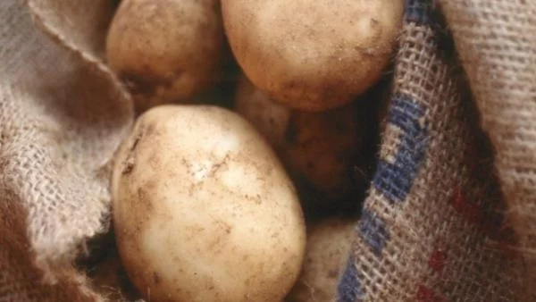 Притча: Чувал картофи

 