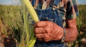 СБ: Скокът в цените на храните е плашещ