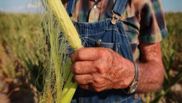 СБ: Скокът в цените на храните е плашещ