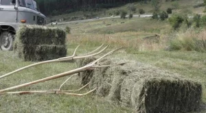 Аграрният сектор доволен от търга за продажба на държавни земи