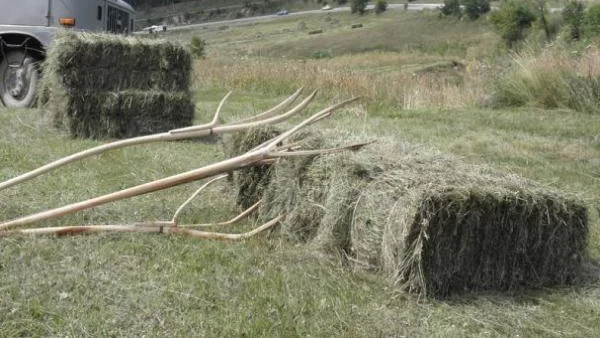 Аграрният сектор доволен от търга за продажба на държавни земи