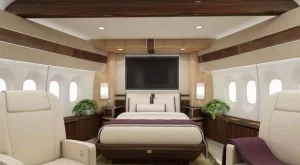 Лукс по време на полет