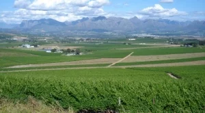 Земеделската земя ще продължи да поскъпва