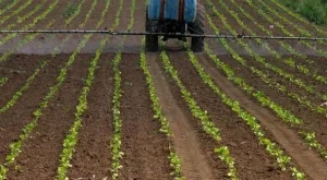 Тютюн "на системи"