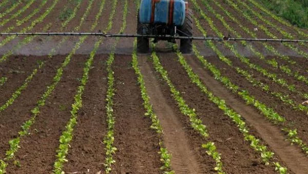 Тютюн "на системи"