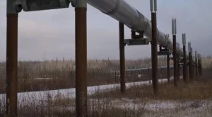 2012/09/25/0192162001380574071