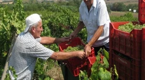 2012/09/26/0848092001380574019