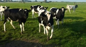 2012/09/30/0936580001380573786