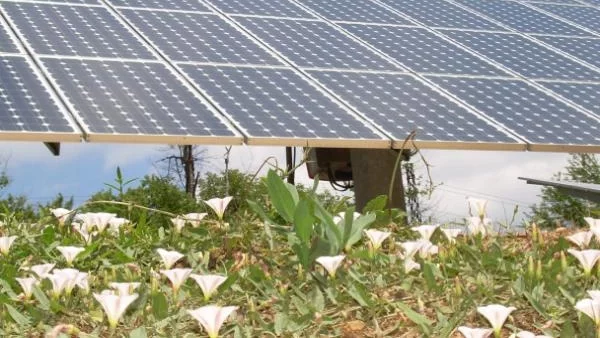 ВЕИ браншът: Инвеститорите се питат дали България е законова държава