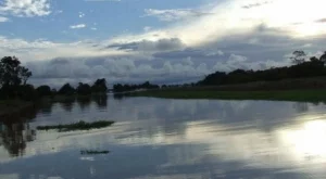 Луксозен круиз по Амазонка